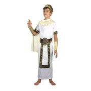 Boys Roman Caesar Costume