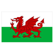 National Flag Of Wales - 90cm x 150cm