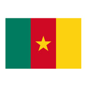 National Flag Of Cameroon - 90cm x 150cm