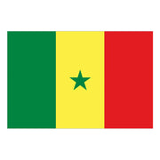 National Flag Of Senegal - 90cm x 150cm